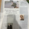 Immagine Link 51